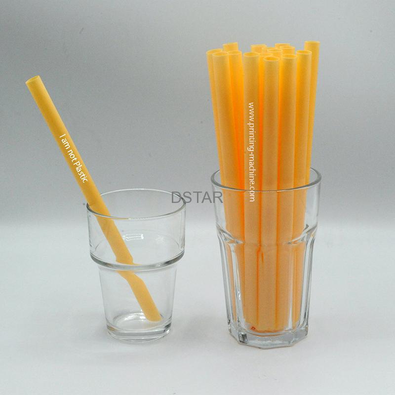 Drinking straw automatic printing machine DX-APP20-1 - Machines - 2