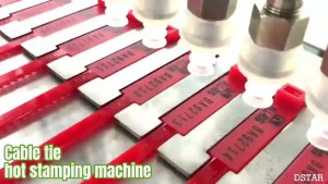 Cable Tie Hot Stamping Machine by Shenzhen DSTAR Machine Co., Ltd.