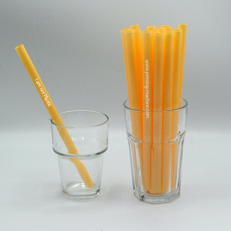 PLA Drinking Straw Printing Machine by Shenzhen DSTAR Machine Co., Ltd. - Business News - 1